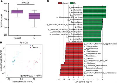 Potential Gut Microbiota Features for Non-Invasive Detection of Schistosomiasis